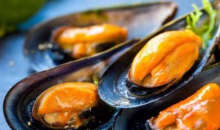 哪些人不能吃贻贝（哪些人不能吃贻贝）