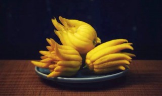 哪些人不能吃佛手(哪些人不能吃佛手果)