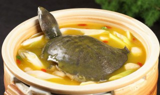 甲鱼汤的吃法(甲鱼汤的吃法有哪些)
