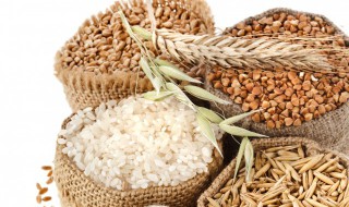 大雪时节吃什么养生好（大雪时节吃什么养生好一点）