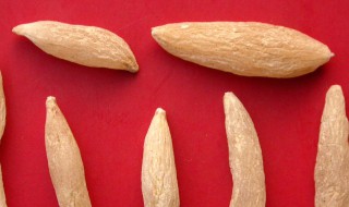 麦冬的吃法 麦冬的吃法与作用