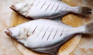 鳐鱼的吃法（鳐鱼吃法和做前处理）