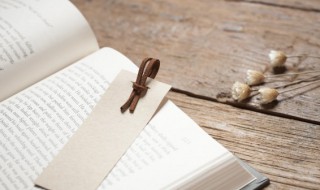 今晚月色真美下一句（今晚月色真美下一句怎么拒绝）