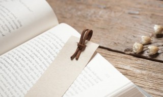 养育之恩大于天下一句是什么（养育之恩大于天下一句是什么 生我之人）