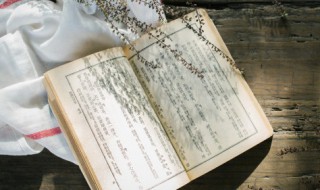 关于以强凌弱的成语故事（关于以强凌弱的成语故事的作文）