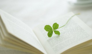 影只形单的意思 影只形单的意思解释