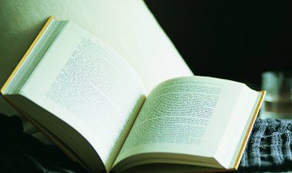 曲终人醉多似浔阳江上泪的意思（愁肠已断无由醉酒未到先成泪诗名）