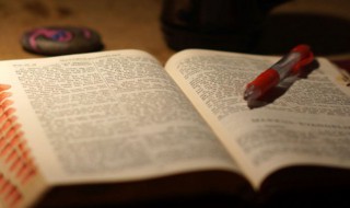 明朝那些事儿经典语录（明朝那些事儿经典语录摘抄）