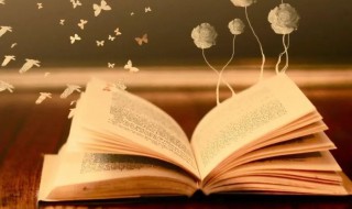 客心洗流水馀响入霜钟的意思（客心洗流水余响入霜钟的翻译）