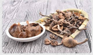 山药和榛蘑能一起吃吗 山药可以和松蘑一起吃吗