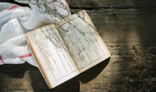 古路无行客寒山独见君的意思(古路无行客,寒山)