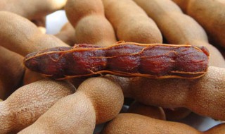 云南甜酸角的功效营养（云南酸甜豆角功效）