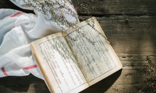 都云作者痴谁解其中味的意思 都云作者痴谁解其中味的意思是什么