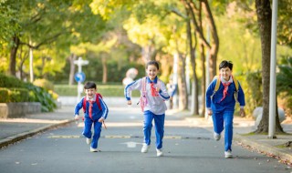 幼儿学成语接龙有何好处（幼儿学成语接龙的好处）