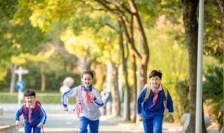 学生异地办理身份证需要什么材料（学生外地办身份证需要什么材料）