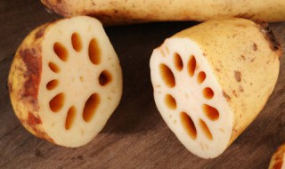 财鱼焖藕的正宗做法 财鱼焖藕的做法大全