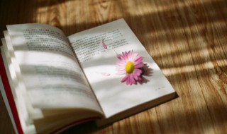 杉组词有哪些（杉组词有哪些二年级）