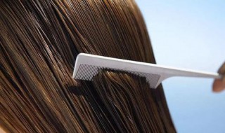 晚上梳头有什么好处（每天梳头100次有助于白发变黑吗）