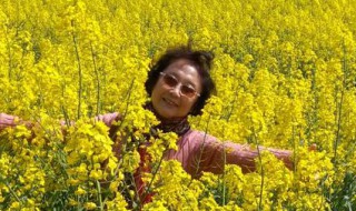 油菜花的样子描写（油菜花的样子描写简单）