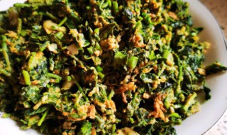 香椿老的炒还是腌着吃 香椿是直接炒了好吃还是开水烫一下