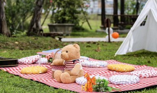 户外野餐需要准备什么（户外野餐准备什么吃的）