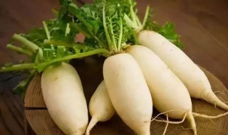 白萝卜冰箱保存方法 白萝卜冰箱保存方法图片