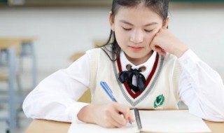 小学语文素养包括哪些内容（新课标语文四大核心素养）