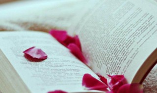 滥竽充数的简单道理（滥竽充数的意思）