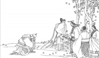 孟姜女哭长城故事（孟姜女哭长城故事原文）