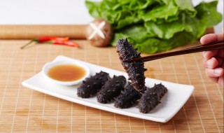 海参有几种类型 海参有几种类型和功效