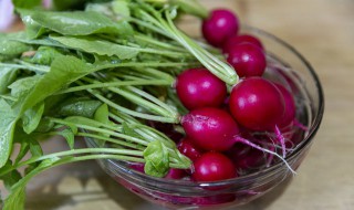 樱桃萝卜的做法(凉拌樱桃萝卜的做法)