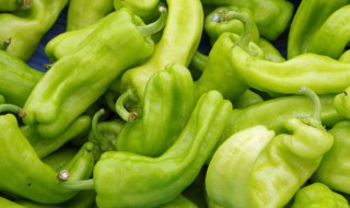 农村青辣椒的腌制方法（青辣椒的腌制制作方法）