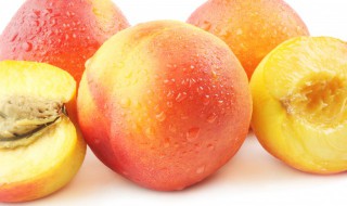 家庭自制水蜜桃酒的方法（家庭自制水蜜桃酒的方法视频）