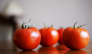 西红柿英语怎么说(草莓用英语怎么说)