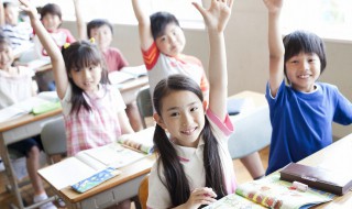 杳无踪迹名词解释（隐索动物名词解释）