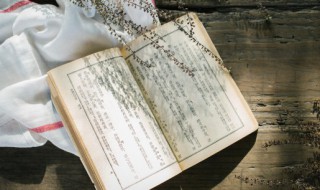 九死一生名词解释（九死一生的解释）