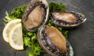 鲍鱼竹荪汤做法（鲍鱼竹荪鸡汤）