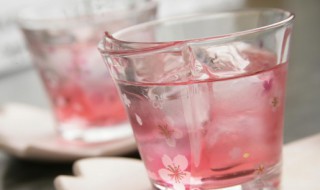 自制梅子酒做法（如何自制梅子酒窍门）