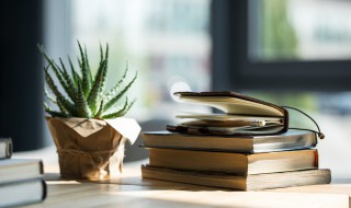 主观主义的主要表现形式是 主观主义的主要表现形式是教条主义和冒险主