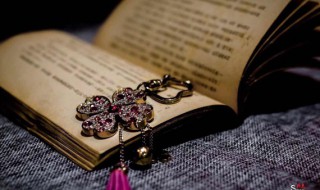 神采焕发名词解释 神采的解释词语