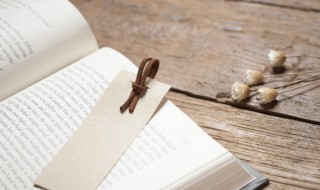 摩顶放踵典故（摩顶放踵典故出自）