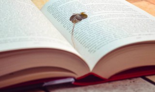 瑜亮是什么意思（瑜亮是什么意思啊）