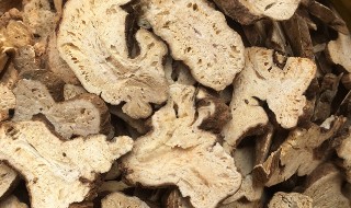 中药白术有什么功效（中药白术有啥功效）