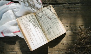 宿儒是什么意思 人声鼎沸是什么意思