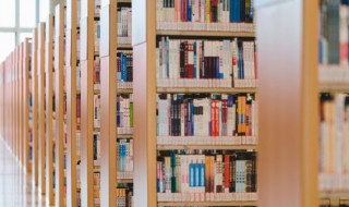 社身畜地是什么意思 社畜主要指哪些人群