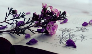 营销手段有哪些方式（营销技巧和营销方法）