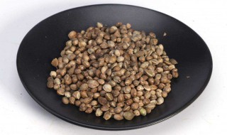 火麻仁的作用与功效(火麻仁的作用与功效与副作用)