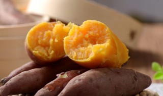 冬瓜和红薯能一起吃吗二者相克吗（冬瓜和红薯能一块儿吃吗）