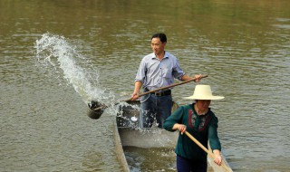 鱼池消毒最佳方法（鱼池消毒最佳方法是）