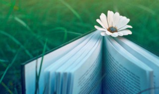 元朝形成的一个新民族是什么 元朝形成的一个新民族是什么意思